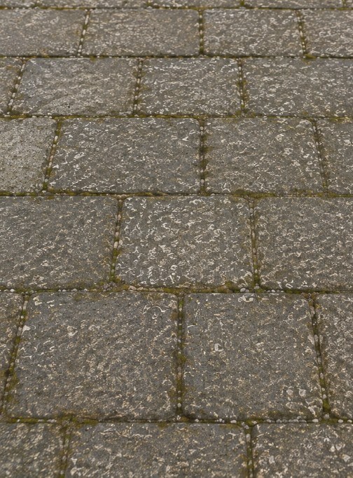 Vorher: bemoostes Pflaster