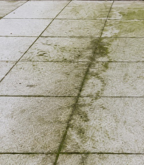 Vorher: verschmutzte Terrassenplatten